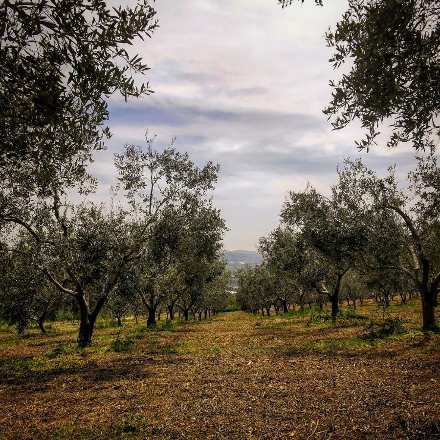 Villa Alessi - Dimora Storica Racalmuto Esterno foto